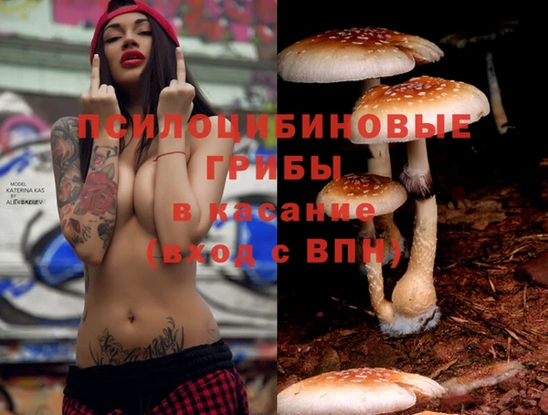 дурь Магас