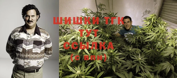 дурь Магас
