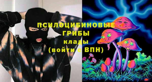 дурь Магас