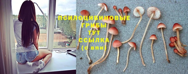 дурь Магас