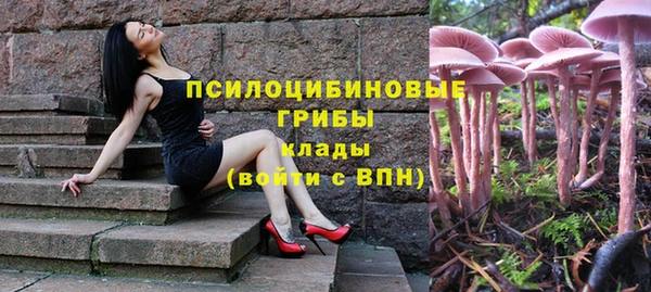 каннабис Майский