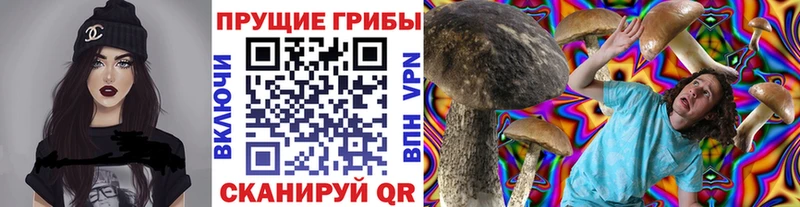дарнет шоп  Уржум  Галлюциногенные грибы Magic Shrooms 